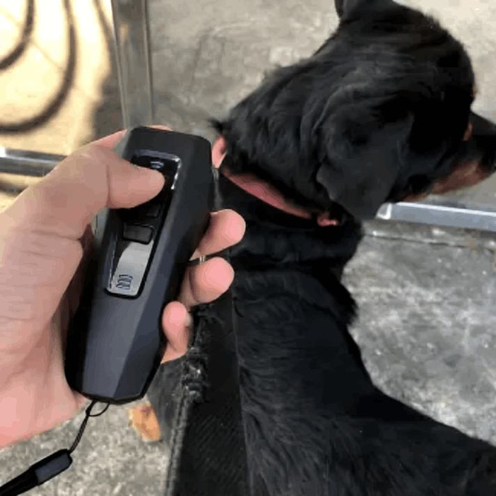 BarxBuddy customer review Thomas W.