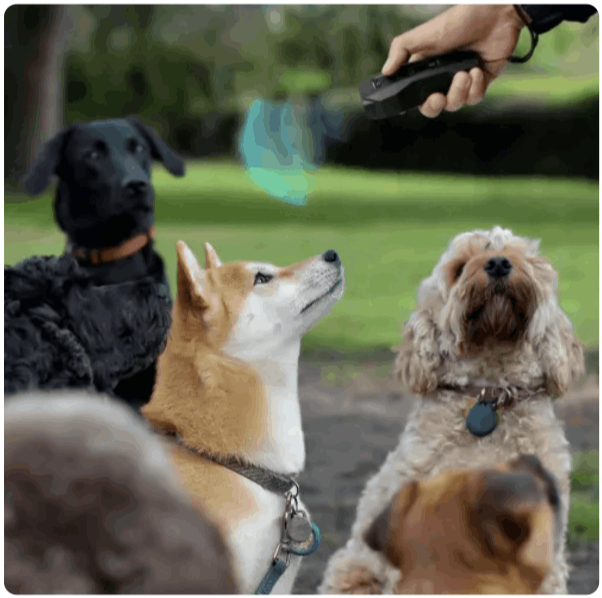 How to use BarxBuddy